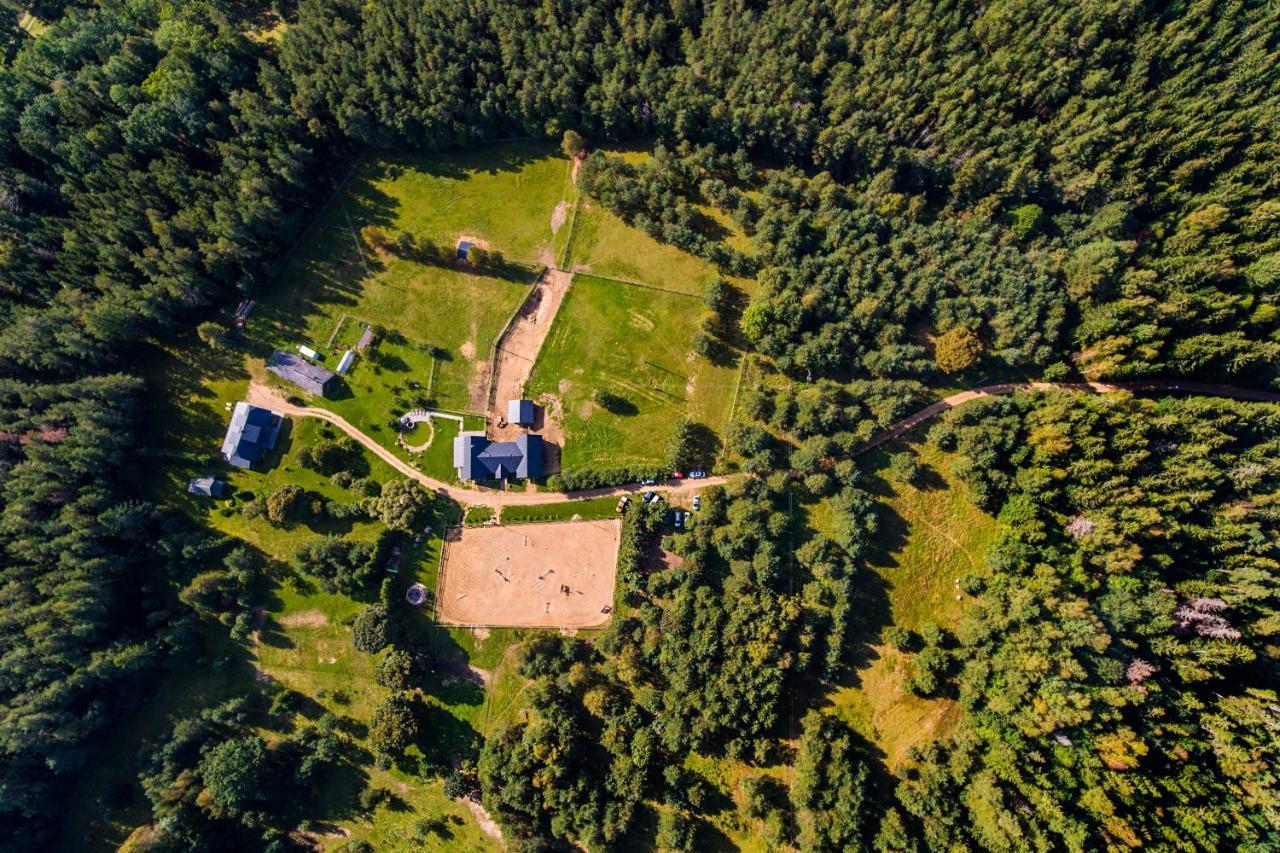 Villa Soprano - 'virs Azuolu' - Forest - Free Jacuzzi